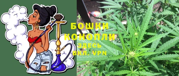 ALPHA-PVP Инсар