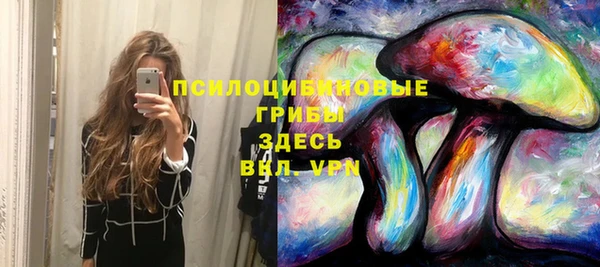 mix Иннополис