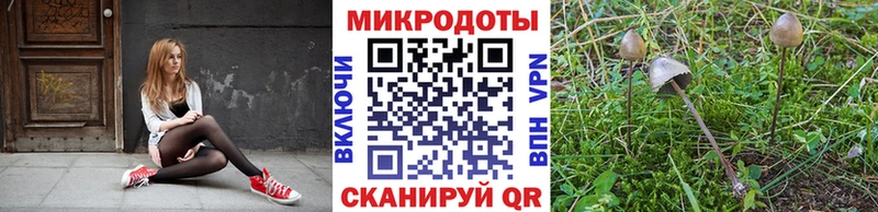 Псилоцибиновые грибы Cubensis  Купить  Белёв 
